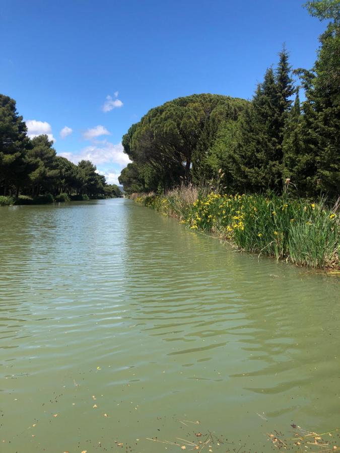 Villa Pintourina Sallèles-dʼAude Eksteriør bilde